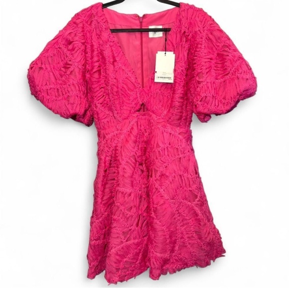 NWT Aje Florential Mini Swing Dress Azalea Pink - Picture 7 of 14